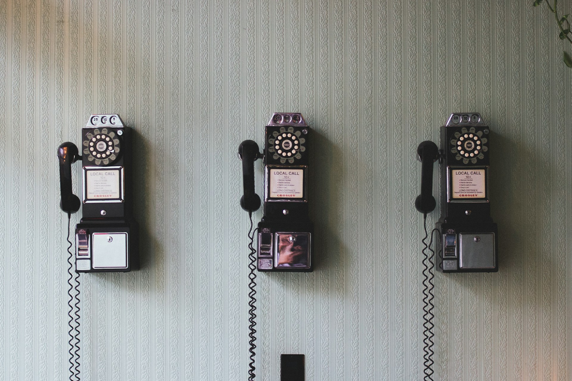 Pavan trikutam 71cjssb83wo unsplash
